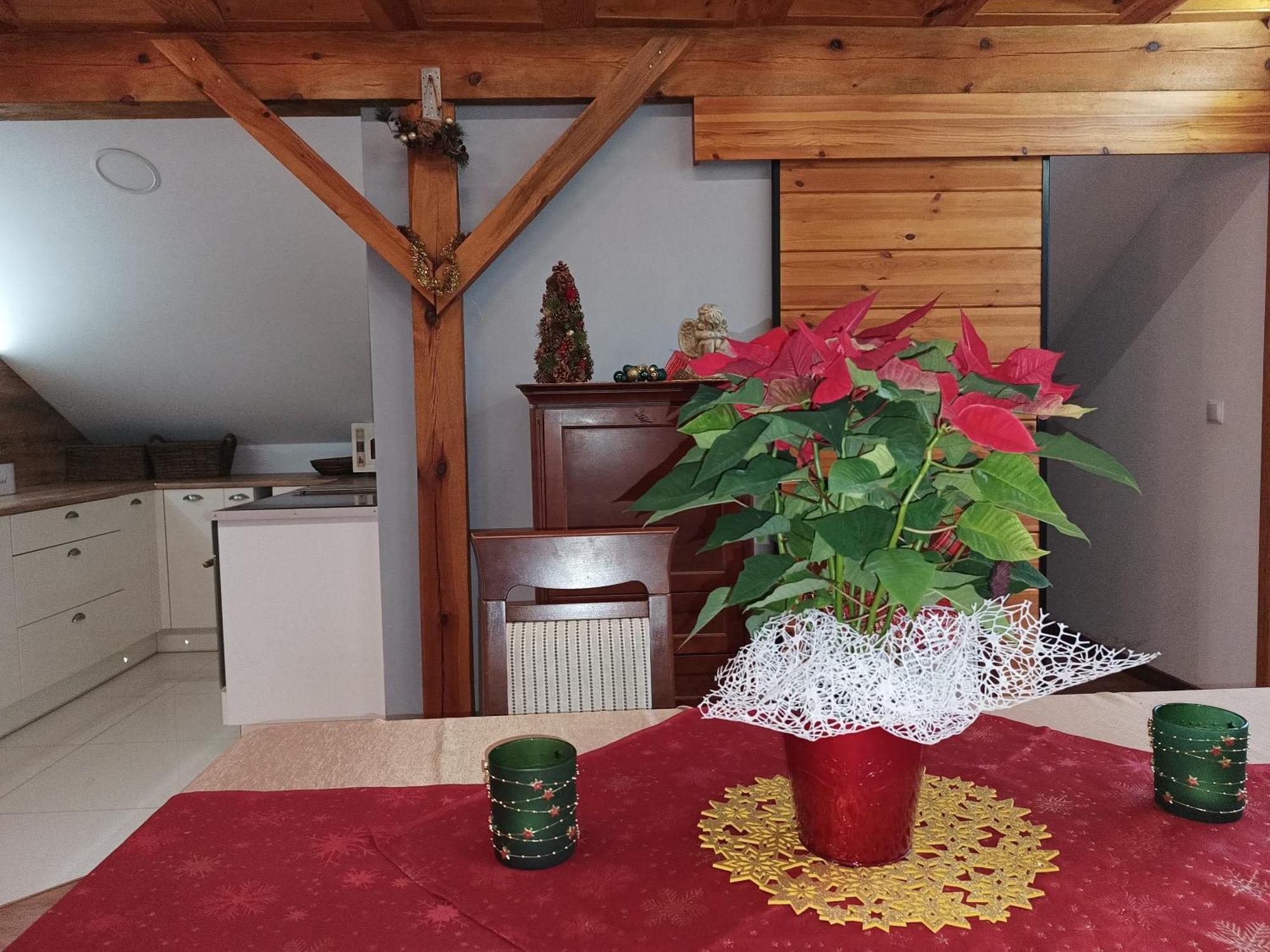 Barytowy Apartament Tarnowskie Góry